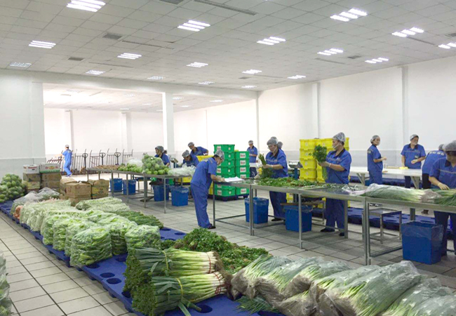 企業(yè)和工廠食堂有效降低員工飯?zhí)贸邪少彸杀?